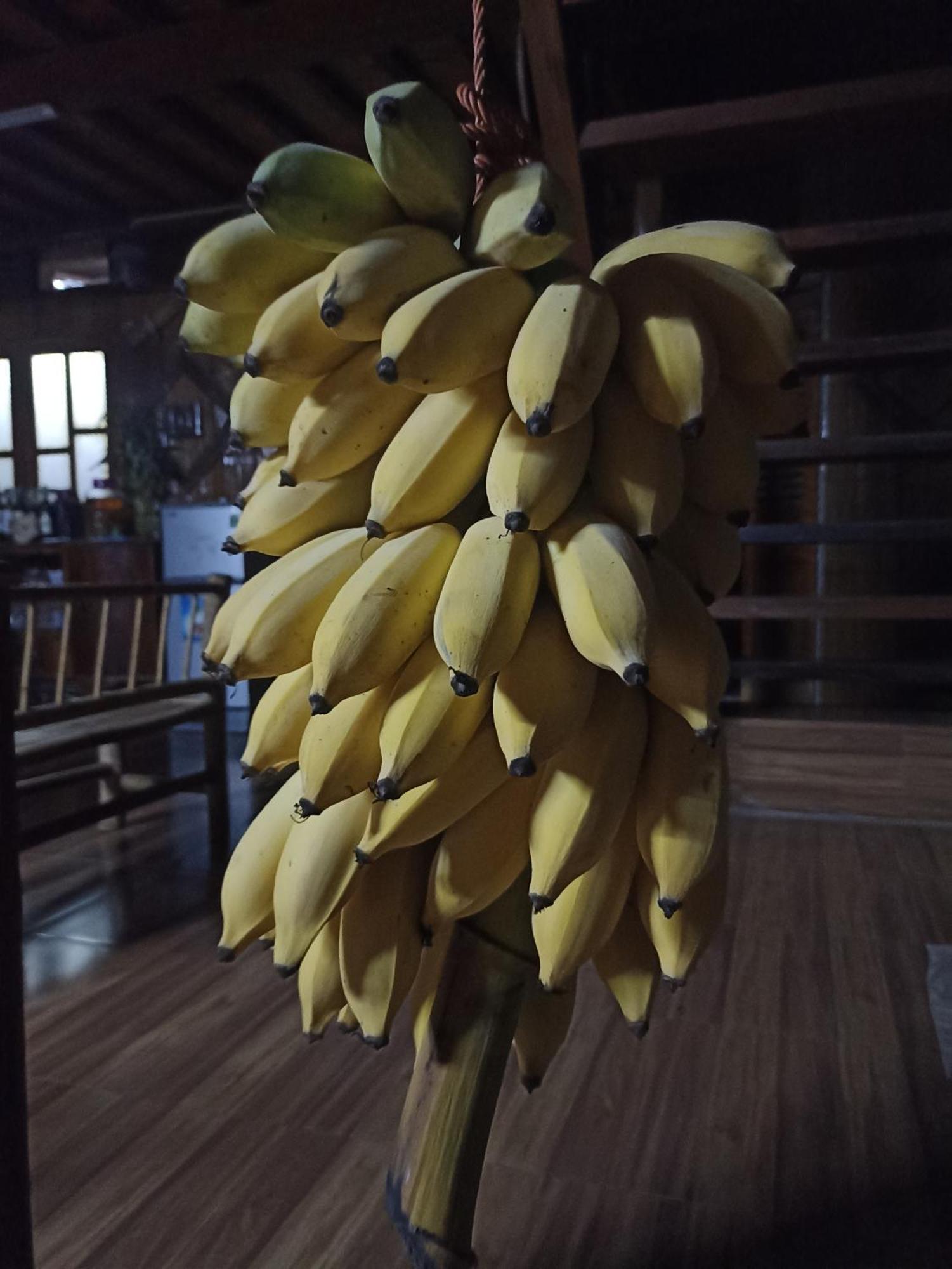 Thao Ly Homestay Mai Chau Hòa Bình Екстериор снимка