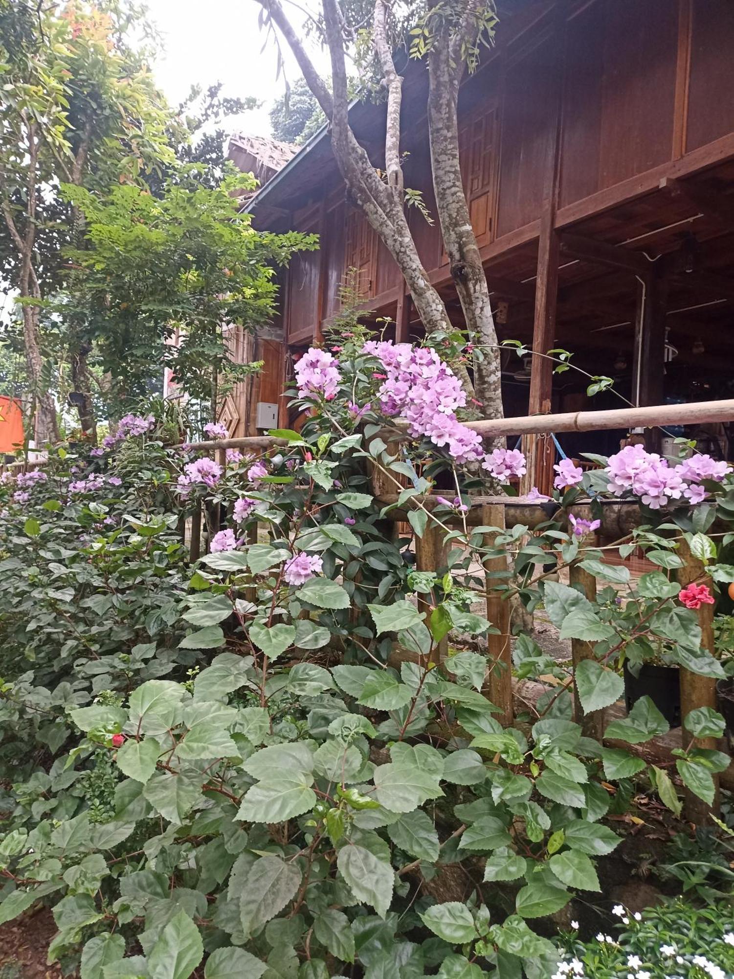Thao Ly Homestay Mai Chau Hòa Bình Екстериор снимка