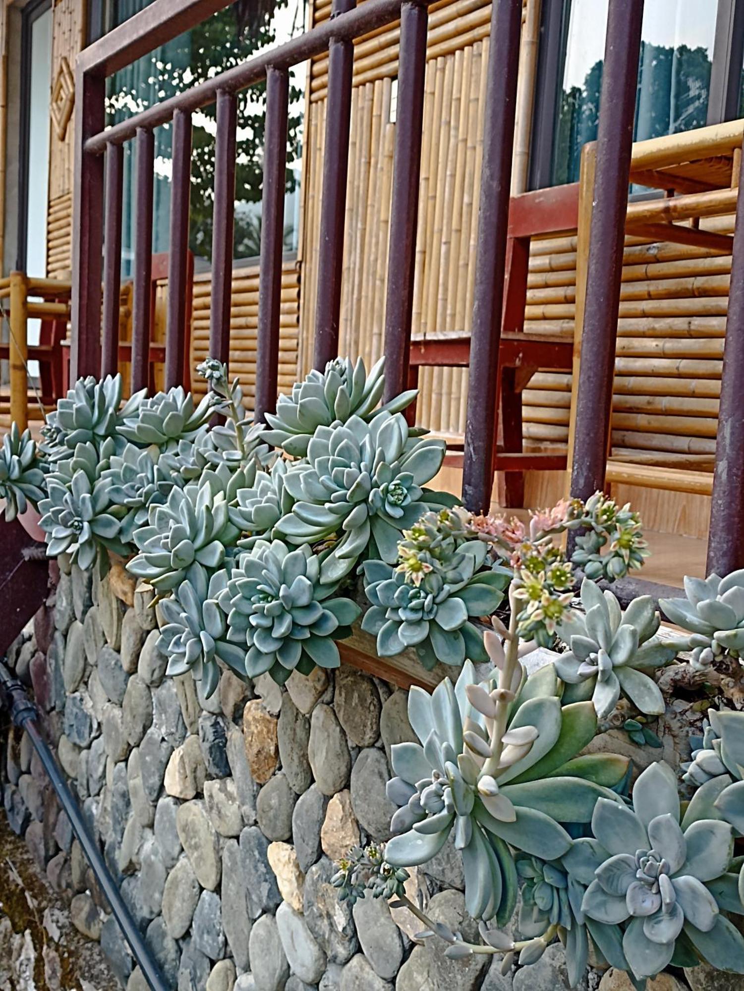 Thao Ly Homestay Mai Chau Hòa Bình Екстериор снимка